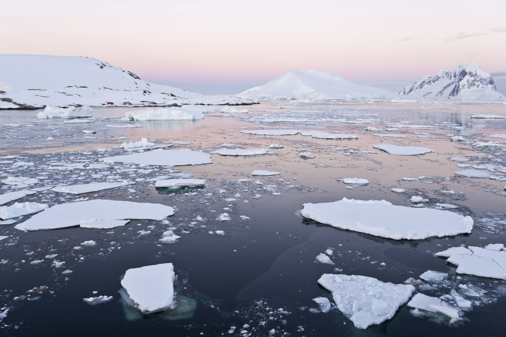 Posterazzi Mountain range covered by glaciers in Penola Strait at sunset Antarctic Peninsula Canvas Art - Daisy Gilardini Design Pics (38 x 24)