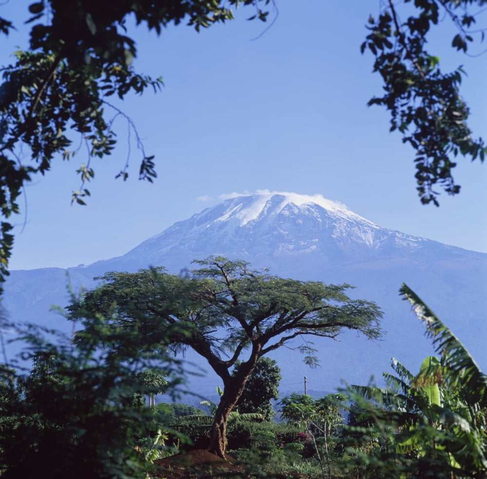Posterazzi Mt KilimanjaroMoshiTanzania Canvas Art - David Constantine  Design Pics (24 x 24)