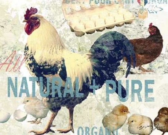 Posterazzi NATURAL AND PURE Canvas Art - Eric Yang (24 x 30)