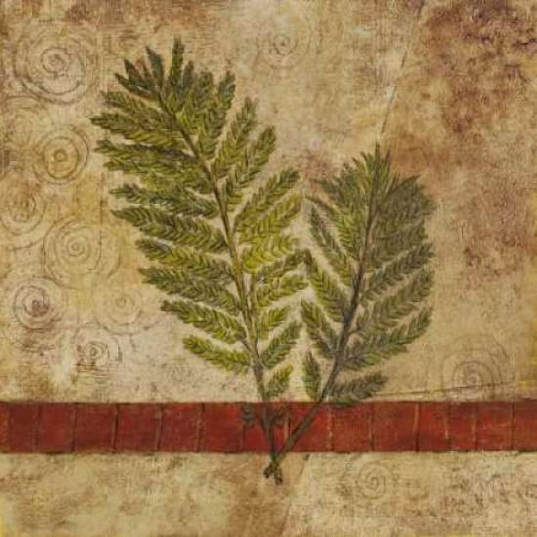 Posterazzi Nature Study I Canvas Art - John Kime (24 x 24)