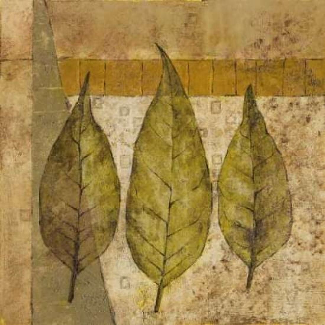 Posterazzi Nature Study II Canvas Art - John Kime (24 x 24)