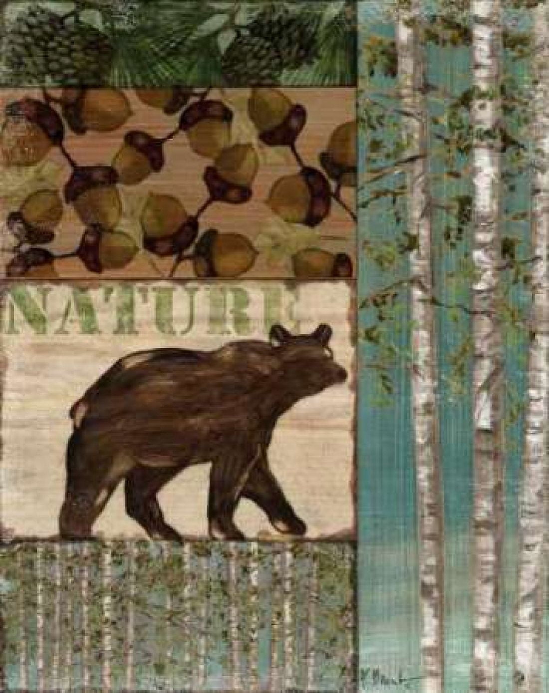 Posterazzi Nature Trail II Canvas Art - Paul Brent (24 x 30)