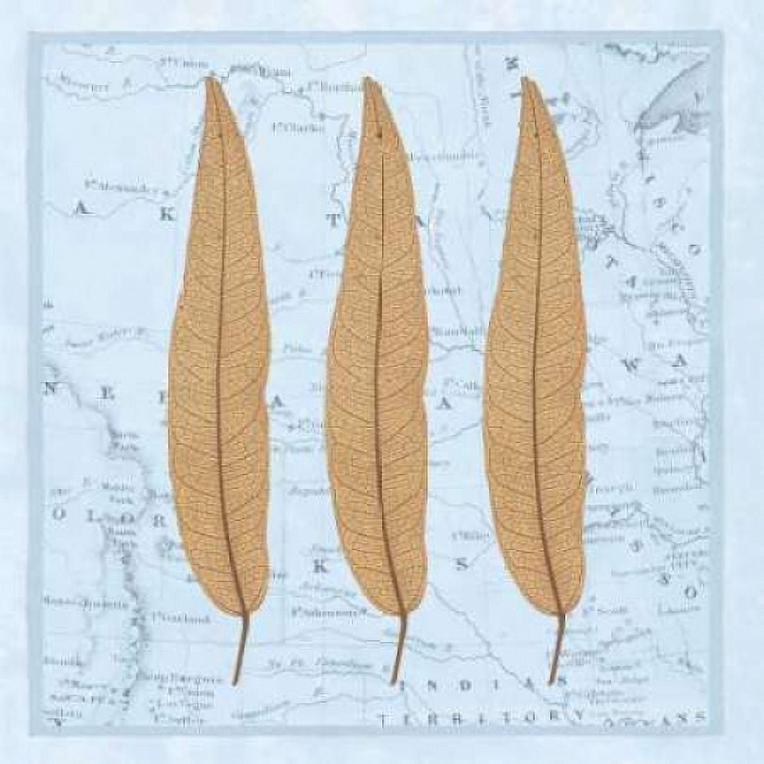 Posterazzi Natures Profile B Canvas Art - Cory Bannister (24 x 24)