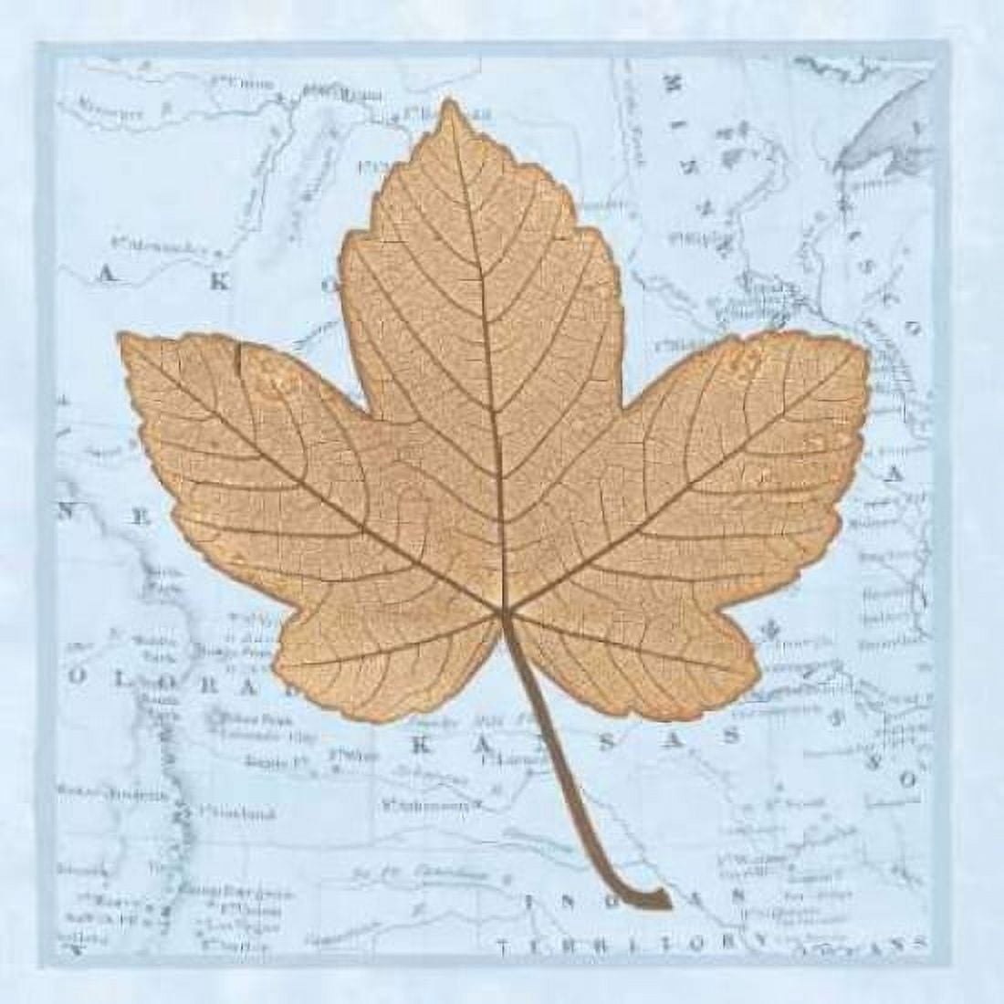 Posterazzi Natures Profile C Canvas Art - Cory Bannister (24 x 24)