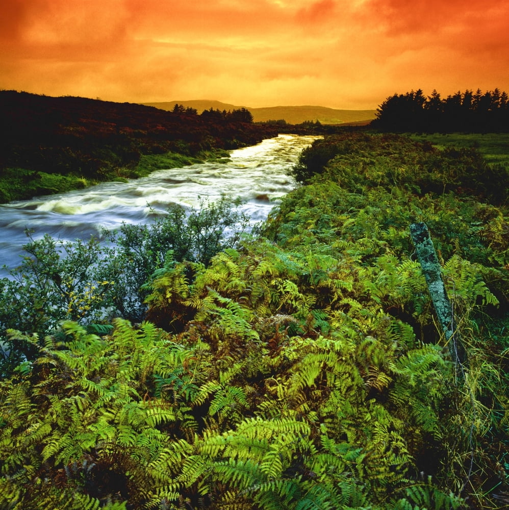 Posterazzi Near Ardragh Co Donegal Ireland River Canvas Art - The Irish Image Collection Design Pics (24 x 24)