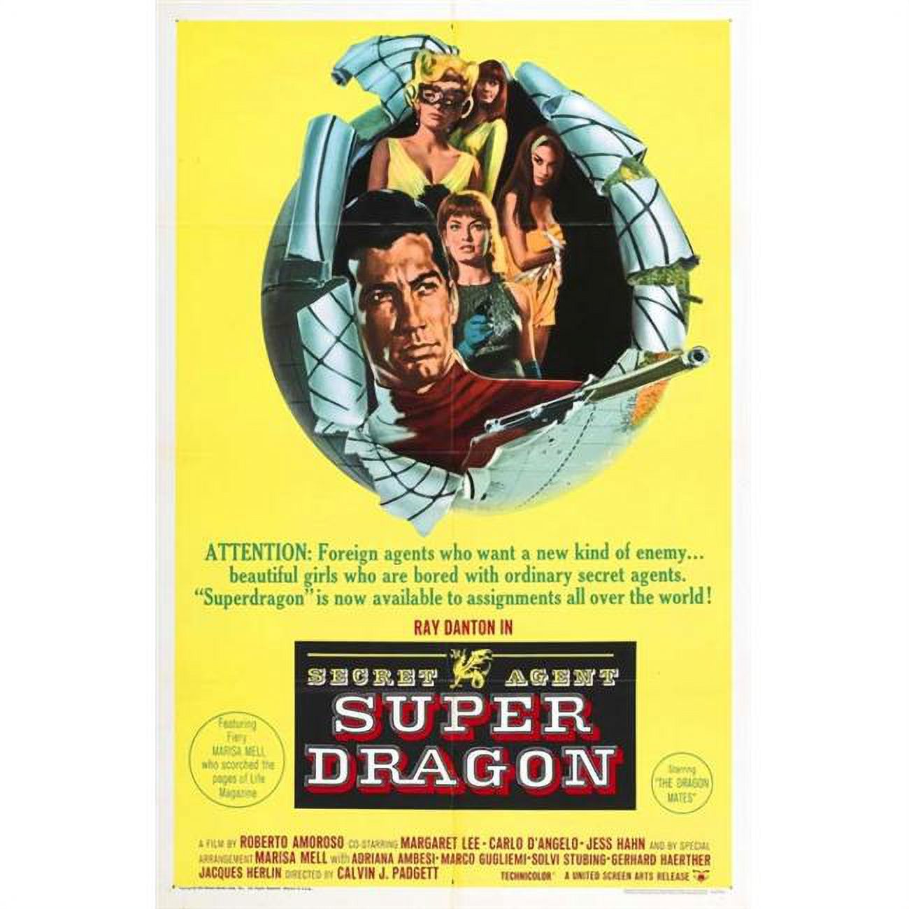 Posterazzi New York Calling Superdragon Movie Poster 27 x 40 in