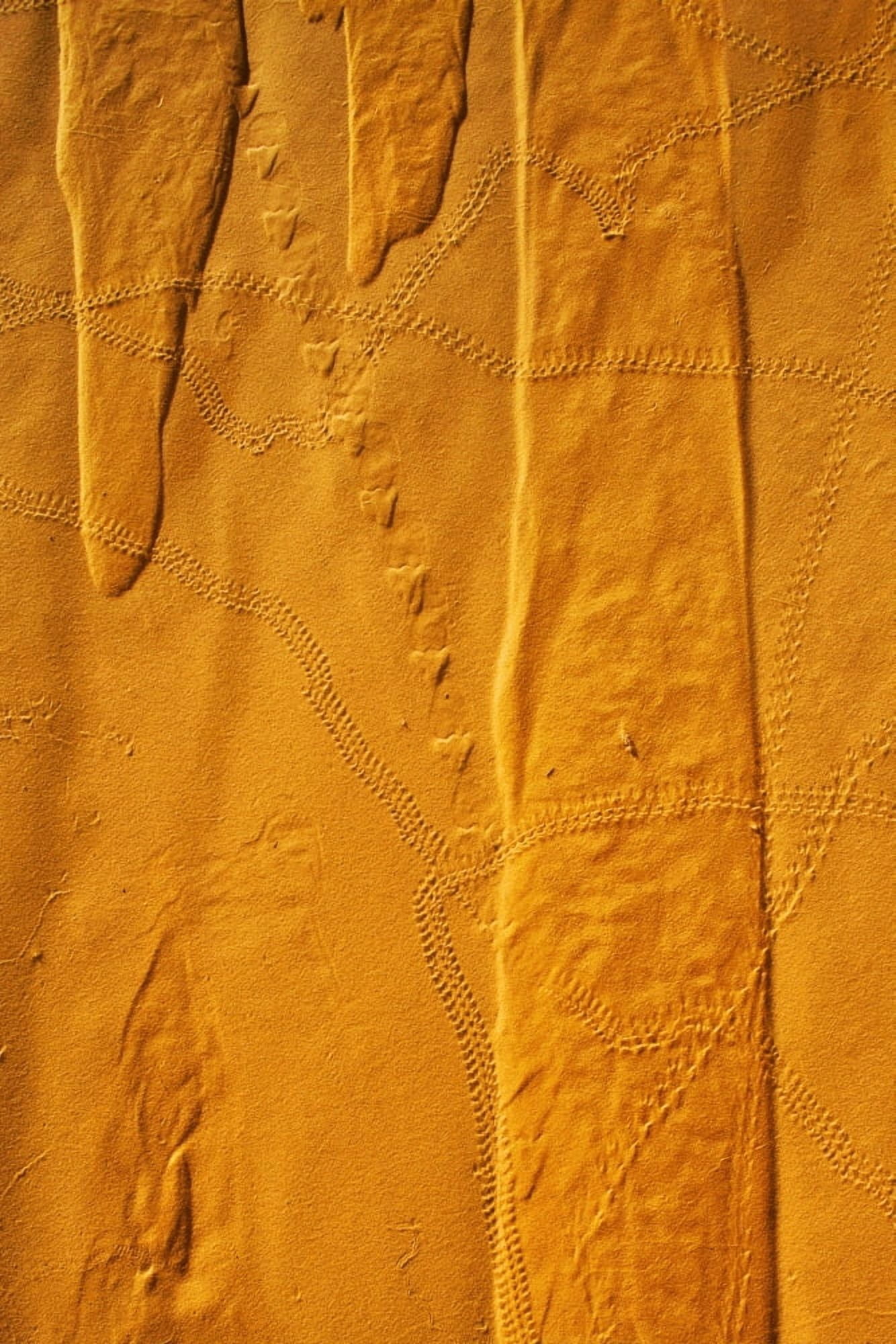 Posterazzi Niger Sahara Desert Northern Niger Patterns and animal tracks on sand Canvas Art - Alberto Arzoz Design Pics (24 x 38)