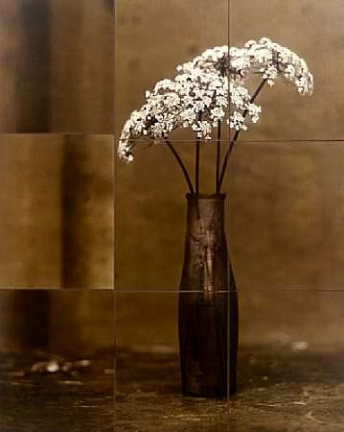 Posterazzi Night Flower Canvas Art - Jan Gauthier (24 x 30)
