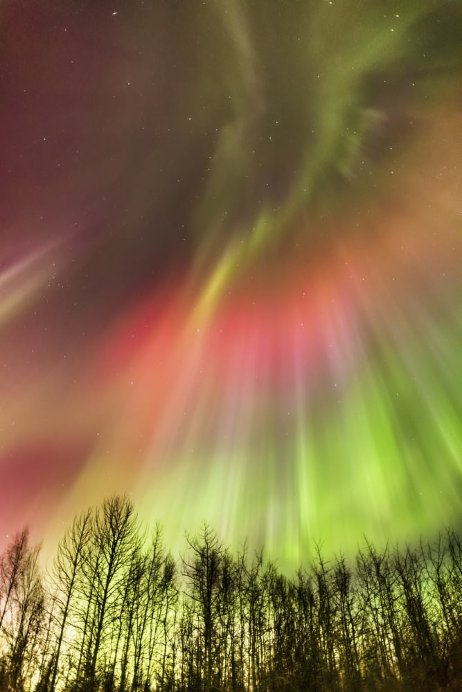 Posterazzi Northern Lights in the sky above the Tony Knowles Coastal Trail Winter Anchorage Coastal Refuge Anchorage Southcentral Alaska USA Canvas Art - Kevin Smith Design Pics (24 x 38)