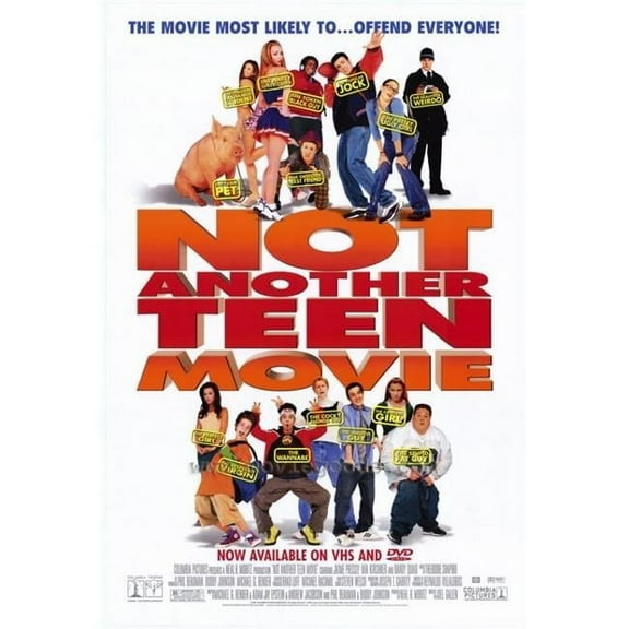 Posterazzi  Not Another Teen Movie Poster - 27 x 40 in.