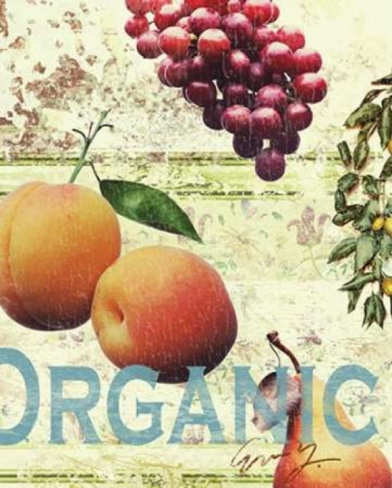 Posterazzi ORGANIC FRUITS Canvas Art - Eric Yang (24 x 30)