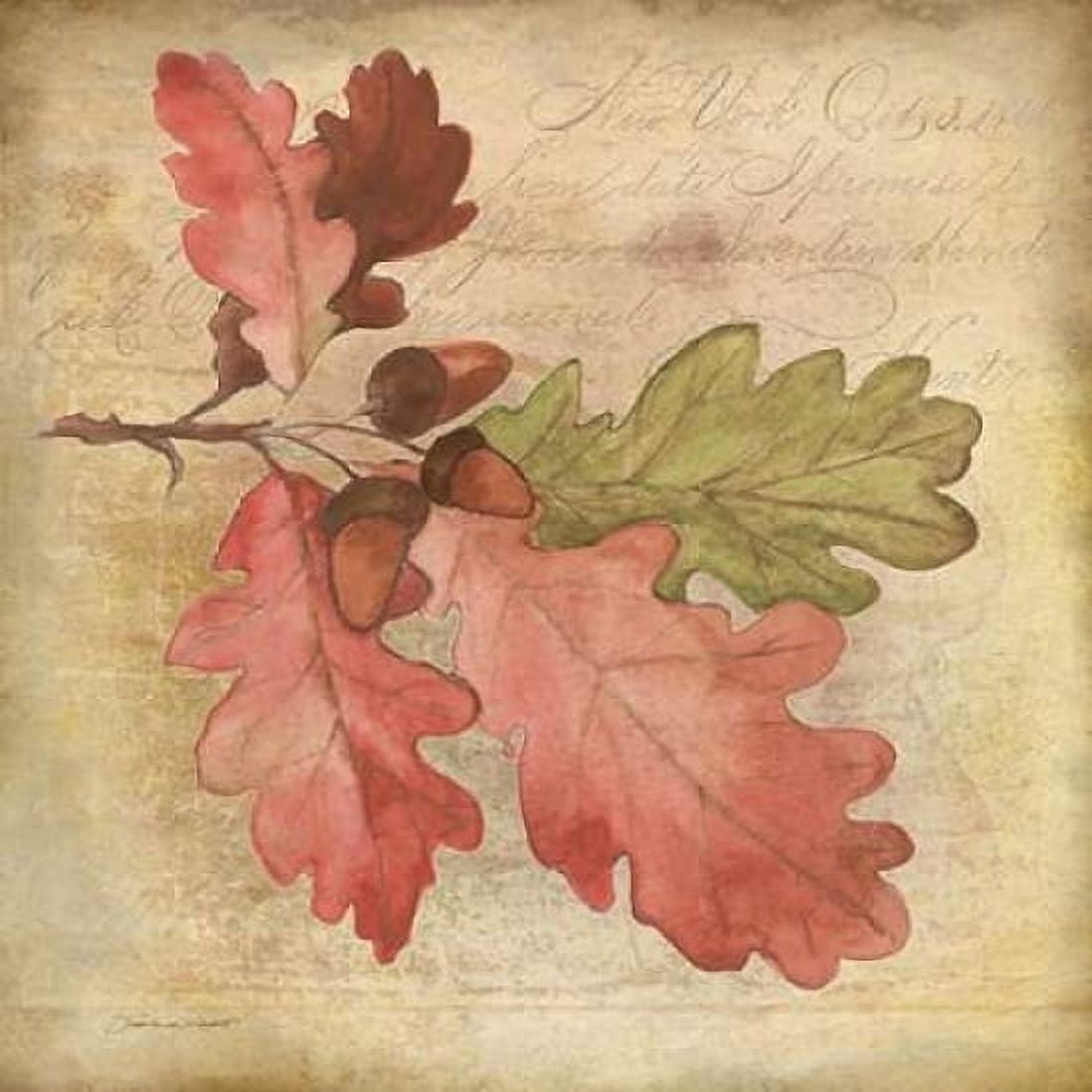 Posterazzi Oak Leaf 1 Canvas Art - Stephanie Marrott (24 x 24)