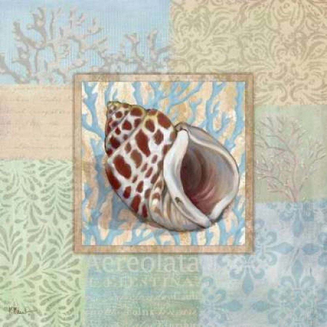 Posterazzi Oceanic Shell Collage I Canvas Art - Paul Brent (24 x 24)