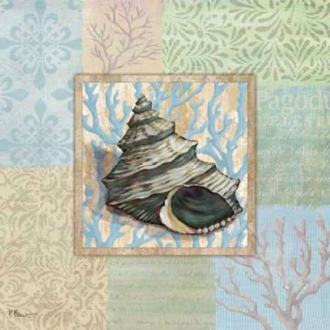 Posterazzi Oceanic Shell Collage II Canvas Art - Paul Brent (24 x 24)