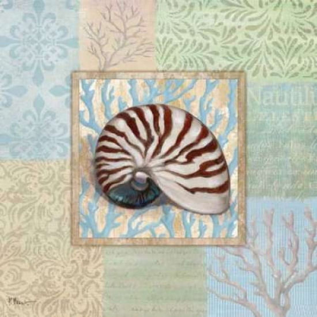 Posterazzi Oceanic Shell Collage III Canvas Art - Paul Brent (24 x 24)
