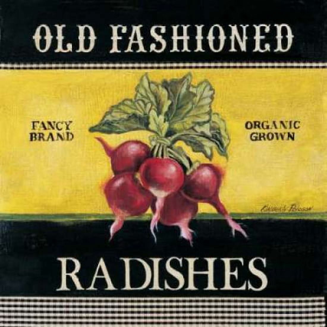 Posterazzi Old Fashioned Radishes Canvas Art - Kimberly Poloson (24 x 24)