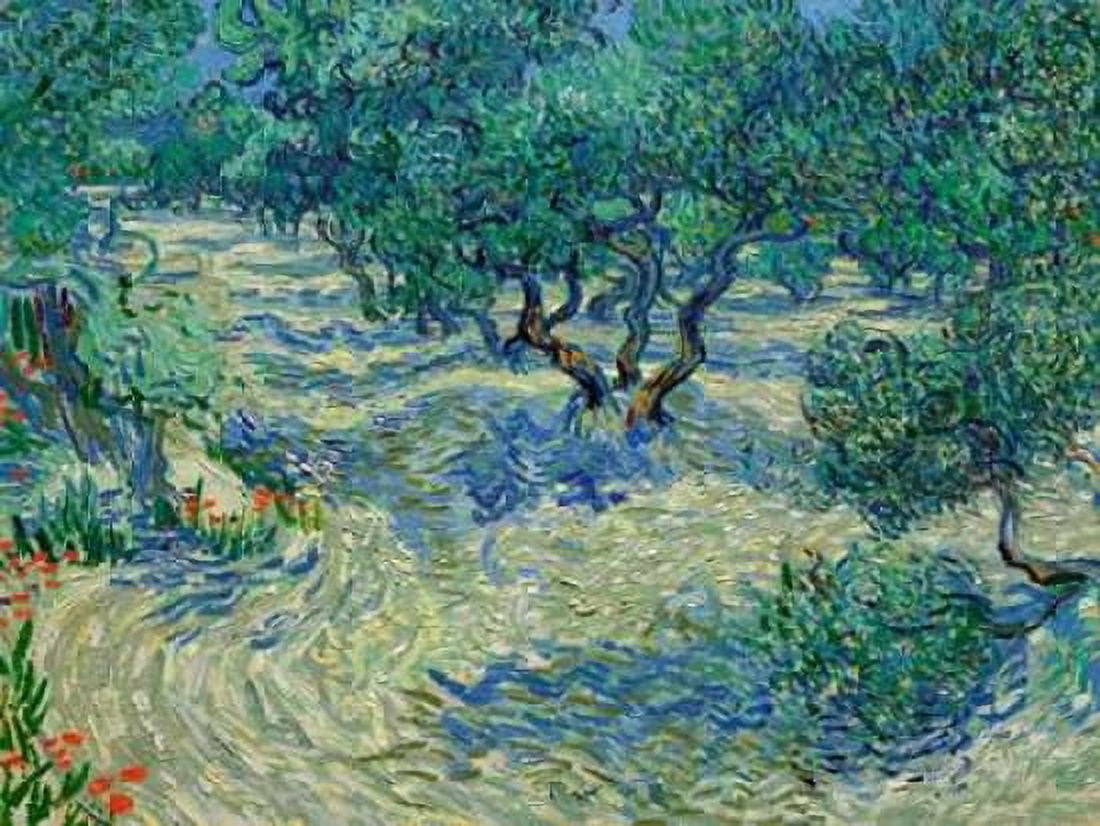 Posterazzi Olive Orchard Canvas Art - Vincent Van Gogh (22 x 28)