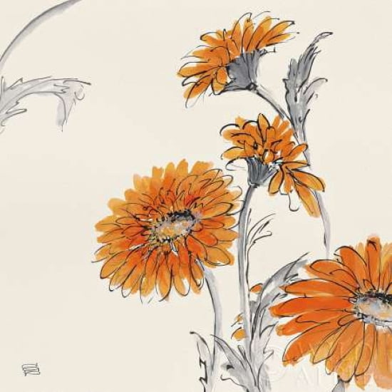 Posterazzi Orange Gerbera I Canvas Art - Chris Paschke (24 x 24)