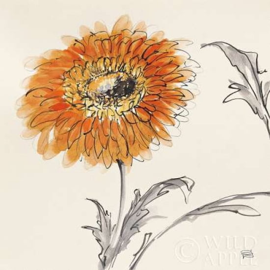 Posterazzi Orange Gerbera III Canvas Art - Chris Paschke (24 x 24)