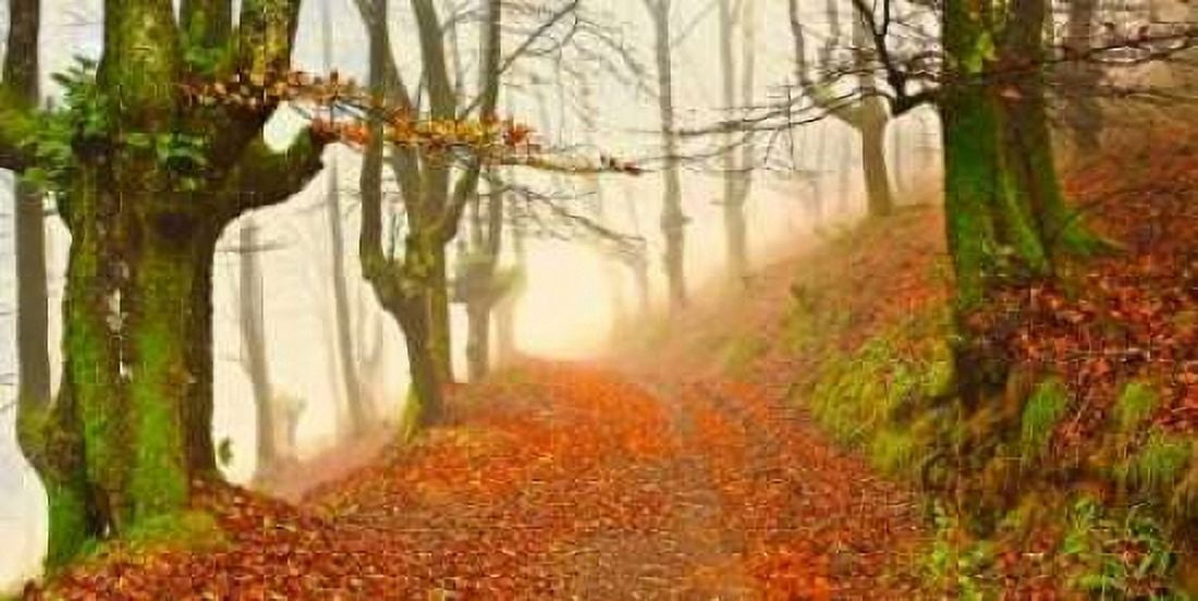 Posterazzi Orange forest leaves 826 Canvas Art - JA Palacios (24 x 48)