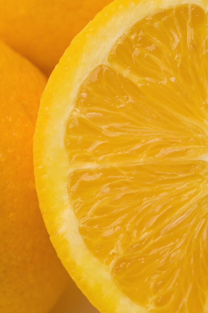 Posterazzi Oranges Canvas Art - Darren Greenwood Design Pics (24 x 36)