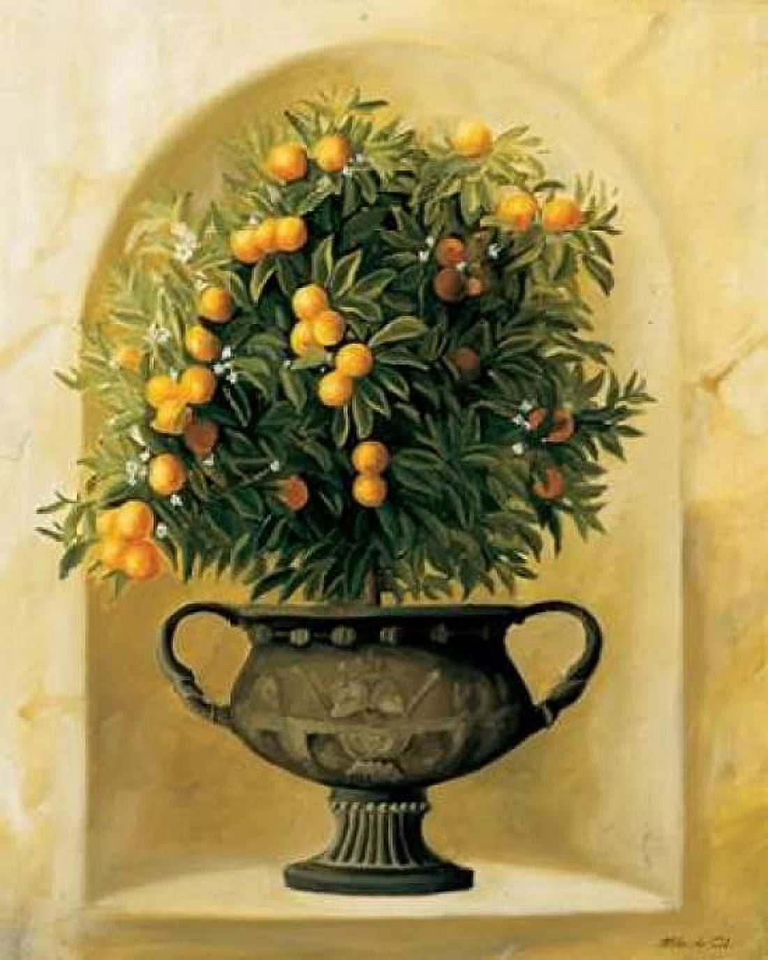 Posterazzi Oranges Canvas Art - Milieu du Ciel (22 x 28)