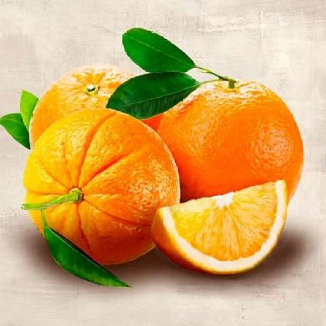 Posterazzi Oranges Canvas Art - Remo Barbieri (24 x 24)