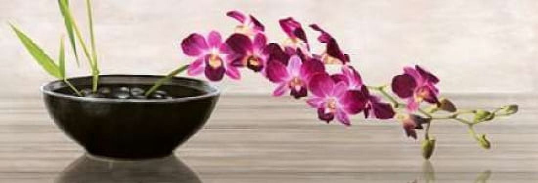Posterazzi Orchid Arrangement Canvas Art - Shin Mills (10 x 20)