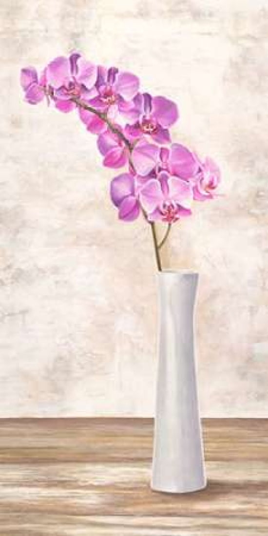 Posterazzi Orchid Arrangement Canvas Art - Shin Mills (24 x 48)
