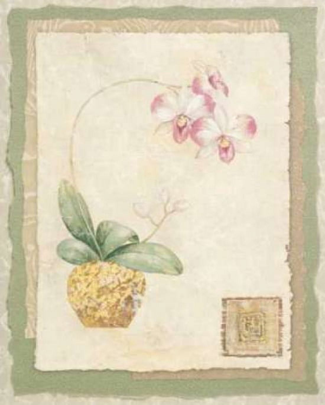 Posterazzi Orchid I Canvas Art - Pamela Gladding (24 x 30)