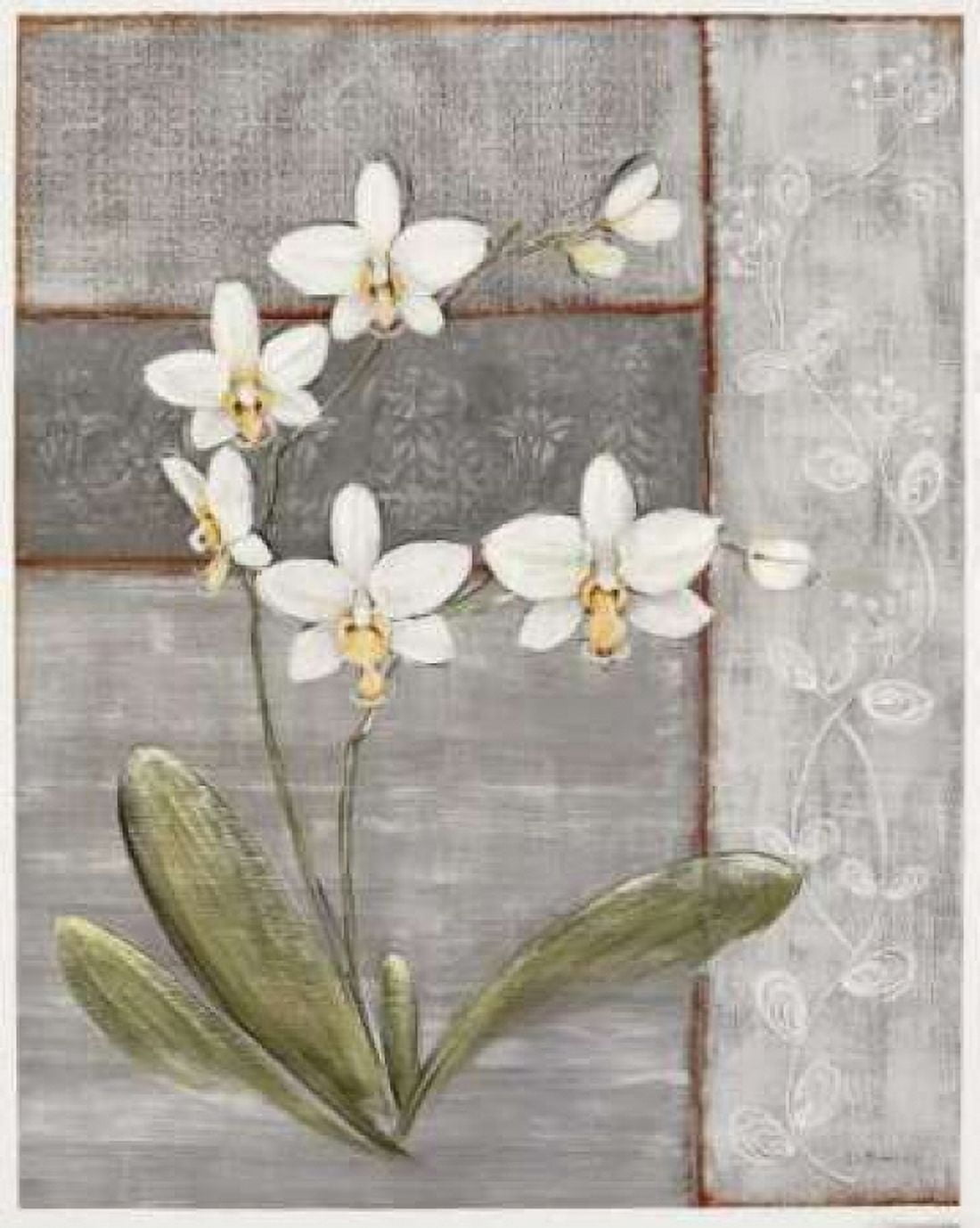 Posterazzi Orchid Shimmer II Canvas Art - O Braun (20 x 24)