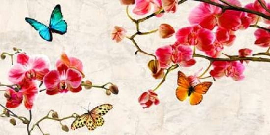 Posterazzi Orchids and Butterflies Canvas Art - Teo Rizzardi (24 x 48)