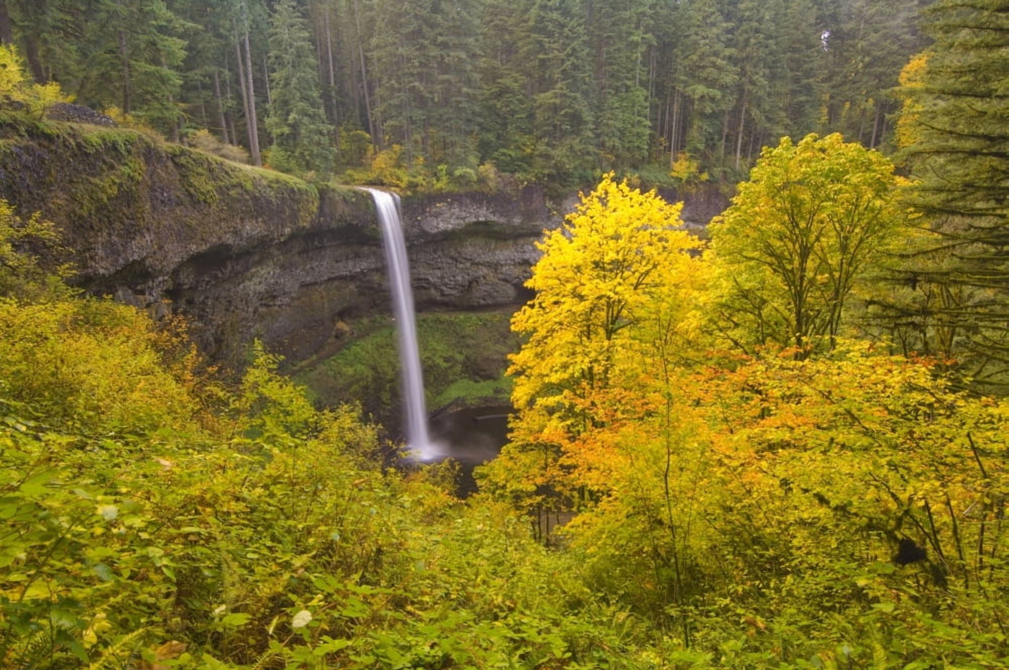 Posterazzi Oregon United States Of America South Silver Falls In The Autumn In Silver Falls State Park Canvas Art - Dan Sherwood Design Pics (36 x 24)