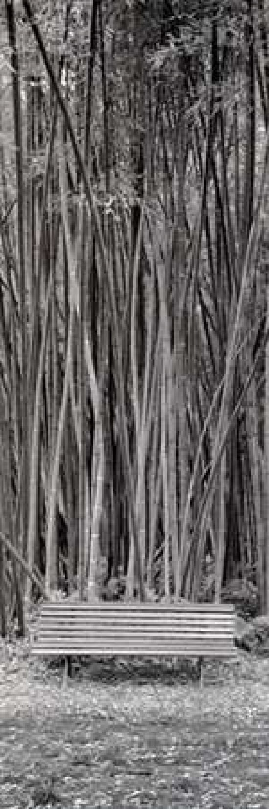 Posterazzi Orto Botanico - 1 Canvas Art - Alan Blaustein (12 x 36)