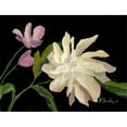 thumbnail image 1 of Posterazzi PAIHN003 Flower 1 Poster Print by Harriet Nordby - 28 x 22 in., 1 of 1