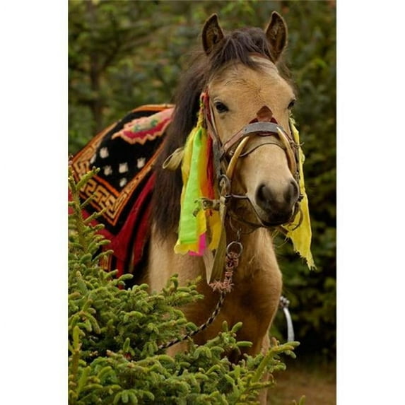 Posterazzi PDDAS07POX0163 Horse at the Horse Racing Festival Zhongdian Deqin Tibetan Autonomous Prefecture Yunnan Province China Poster Print by Pete