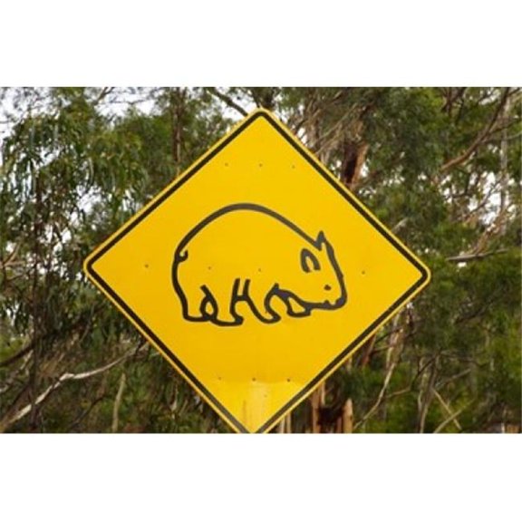 Posterazzi PDDAU01DWA3975 Wombat Warning Sign Tasman Peninsula Australia Poster Print by David Wall - 29 x 19 in.