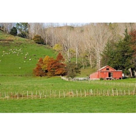 Posterazzi PDDAU02DWA2767 Wool Shed & Farmland Kawhatau Valley Rangitikei North Island New Zealand Print by David Wall