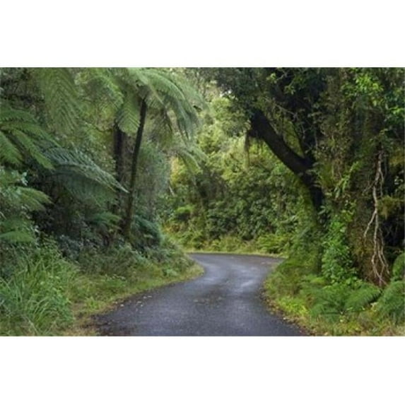 Posterazzi PDDAU02DWA4948 Path to Dawson Falls Egmont North Island New Zealand Poster Print by David Wall - 34 x 23 in.