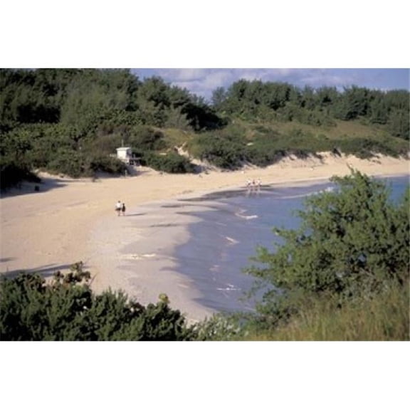 Posterazzi PDDCA07RHI0007 View of Horseshoe Bay Bermuda Caribbean Poster Print by Robin Hill - 36 x 24 in.