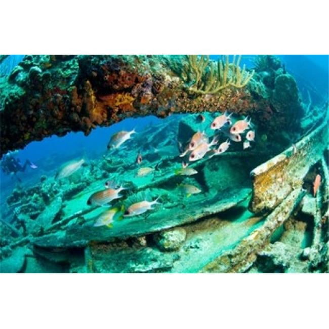 Salt Island Rms Rhone Posterazzi PDDCA10SWS0066 Schooling Soldierfish Wreck of the RMS Rhone ...