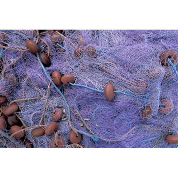 Posterazzi PDDCA23WBI0055 Fishing Nets on Grand Anse Martinique Caribbean Poster Print by Walter Bibikow - 27 x 18 in.