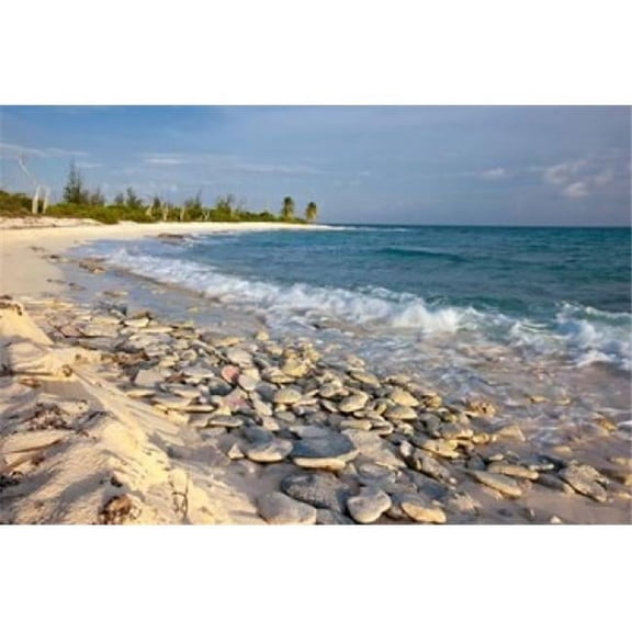 Posterazzi PDDCA27MPR0072 Waves Coral Beach Punta Arena Mona Puerto Rico Poster Print by Maresa Pryor - 26 x 18 in.