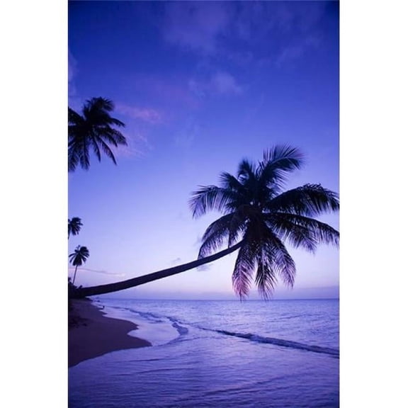 Posterazzi PDDCA32GJO0091 Palm Tree Coconut Grove Beach Cades Bay Caribbean Poster Print by Greg Johnston - 18 x 26 in.
