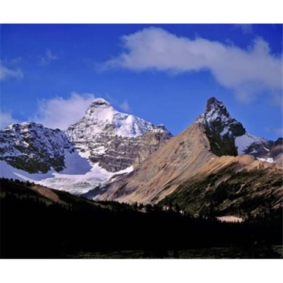 Posterazzi PDDCN01RER0025 Alberta Mt Saskatchewan Banff Np Poster Print by Ric Ergenbright - 26 x 22 in.