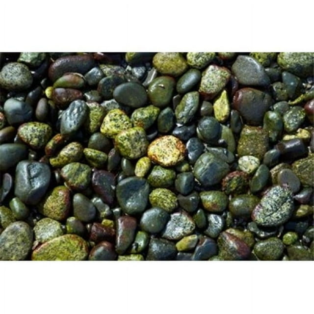 Posterazzi PDDCN02PCL0061 Patterns Rebecca Spit Quadra Isl British Columbia Poster Print by Paul Colangelo - 26 x 17 in.