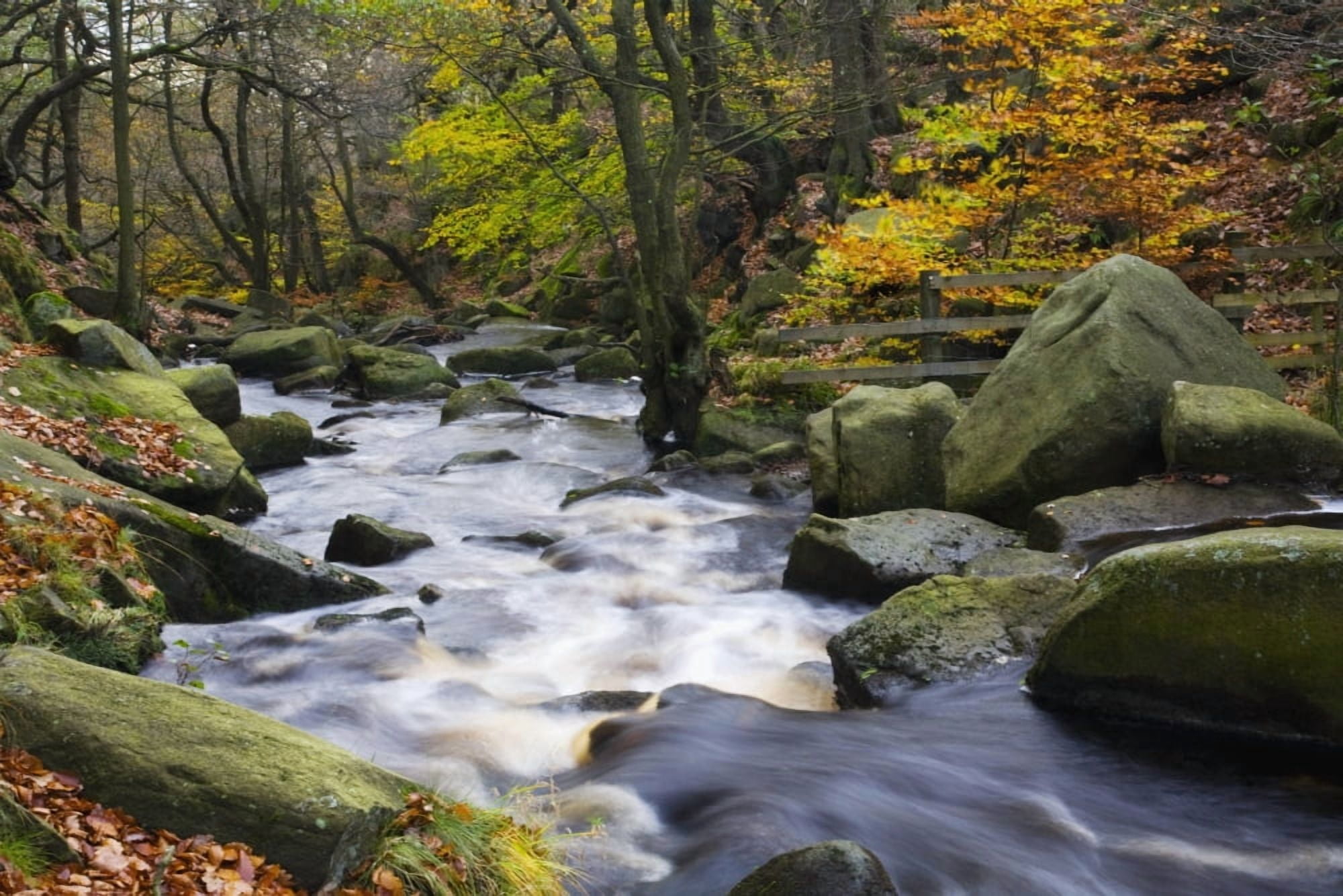 Posterazzi Padley Gorge Derbyshire England Burbage Brook In Autumn Canvas Art - John Doornkamp Design Pics (38 x 24)