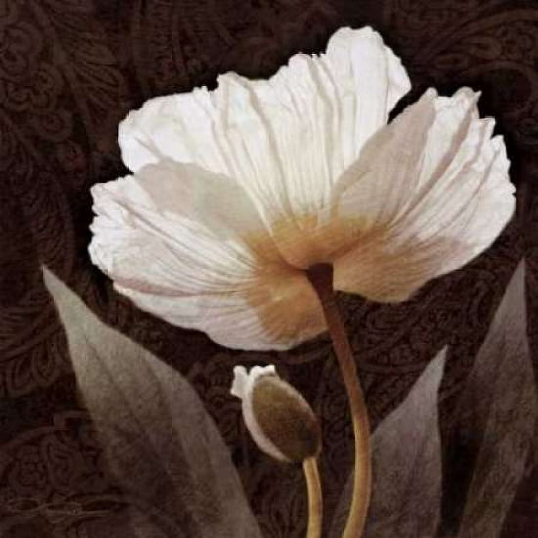 Posterazzi Paisley Poppy I Canvas Art - Keith Mallett (24 x 24)