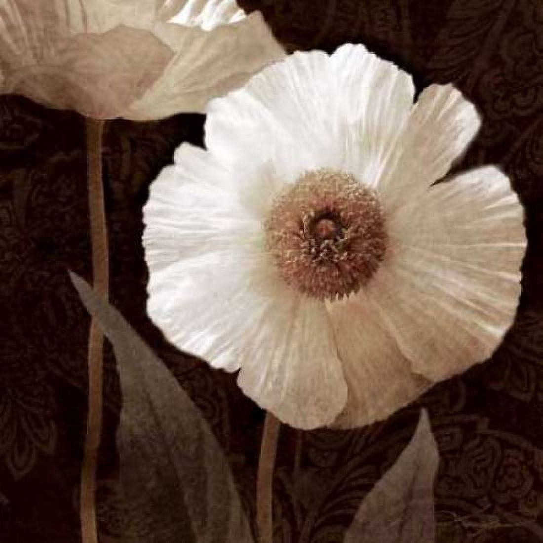 Posterazzi Paisley Poppy II Canvas Art - Keith Mallett (24 x 24)