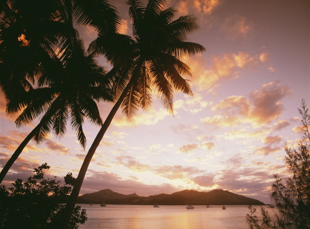 Posterazzi Palm Trees On Tropical Beach At Sunset Nanuya Lai Lai Canvas Art - Chris Parker Design Pics (32 x 24)